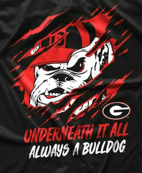 Pin By Kevin Nolan On Da Dawgs Georgia Bulldogs Football Georgia