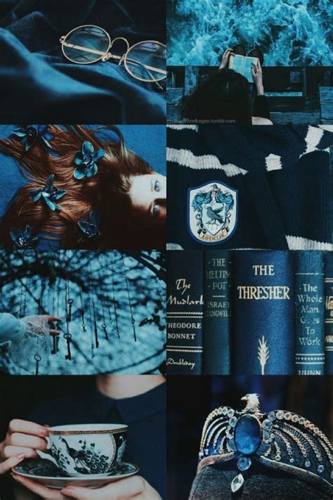 Proud Ravenclaw Harry Potter Wallpaper Ravenclaw Aesthetic Ravenclaw