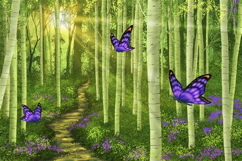Fantasy Forest - affordable wall mural | Forest mural, Fantasy forest, Forest wall mural