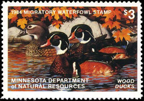 Minnesota Duck Stamps