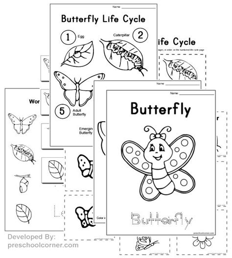 Preschool Butterfly Printables And Crafts Preschool Butterfly Free