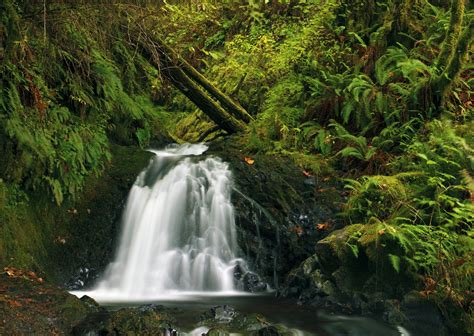 Usa Waterfalls Moss Latourell Oregon Nature Wallpapers Hd Desktop And Mobile Backgrounds