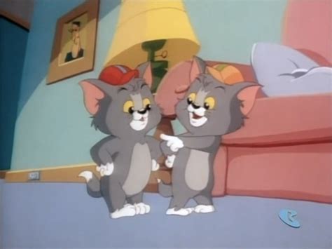 Tom Cat Tom And Jerry Kids Tom And Jerry Wiki Fandom Powered By Wikia