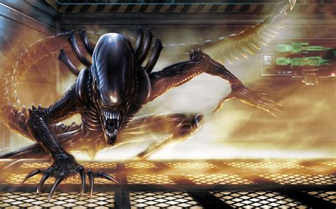 Alien Xenomorph Wallpaper Science Fiction Xenomorph Aliens Alien