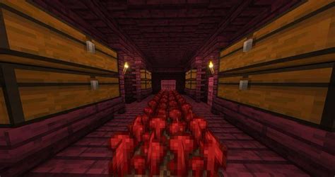 Different Growth Stages Of Nether Wart In Minecraft