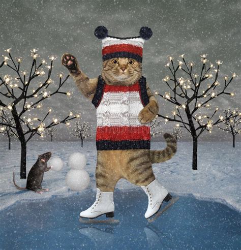 Cat In Vest Ice Skating On Pond 2 Stock Photo Image Of Skate