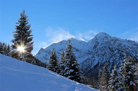 Winter Schnee Berge Baum Kostenloses Foto Auf Pixabay