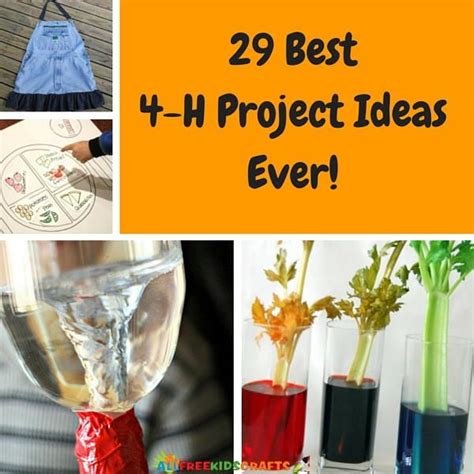 44 Best 4 H Project Ideas Ever 4 H Clover 4 H Club 4 H