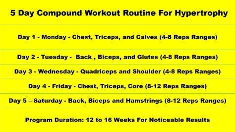 5 Day Compound Workout Routine To Build Muscle Thefitnessphantom