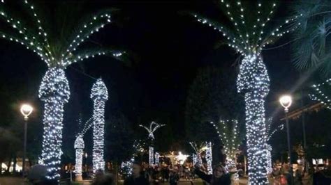 Christmas Lights On Palm Trees In Italy Draws Big Laughs Kansas City Star