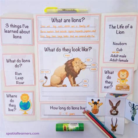 Lions Basic Facts About Lions Science Spatial Learners