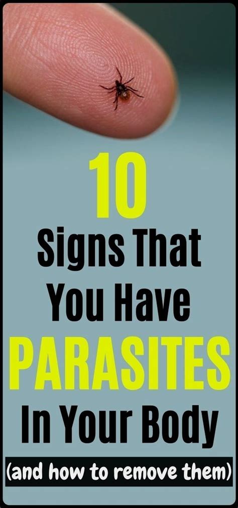 10 symptoms you have parasites in your body and how to remove them best women tips health