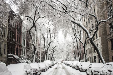 Free Images Tree Branch Snow Black And White Street