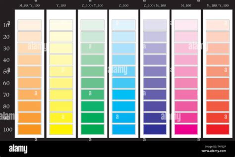 Color Guide Chart Cmyk Rainbow Background Part 2 Vector Illustration