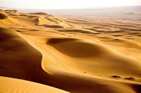Red Sea Arabian Deserts And Salt Marshes Pa26 One Earth