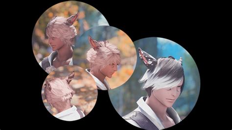 Spotted Ears Mega Pack For Male Miqote Xiv Mod Archive