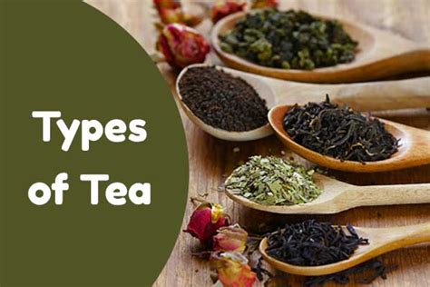 Types Of Tea List Of 6 Different Variety Of Tea