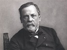Qui est Louis Pasteur