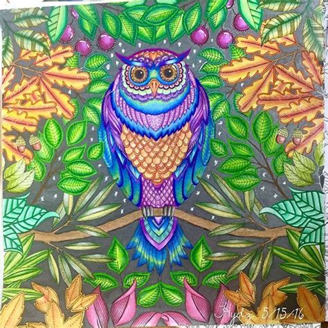 3,762 likes · 2 talking about this. The owl from Secret Garden. By Johanna Basford Used ...