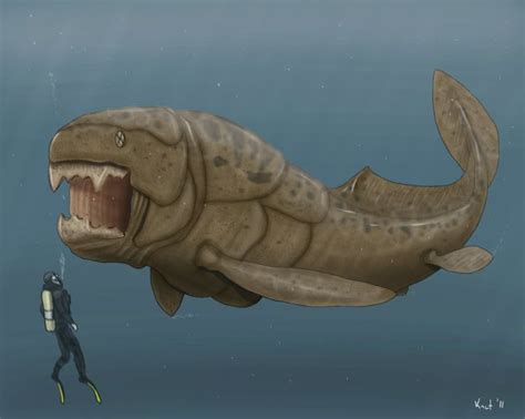 The Dunkleosteus Terelli Is An Extinct Fish Which Lived During The