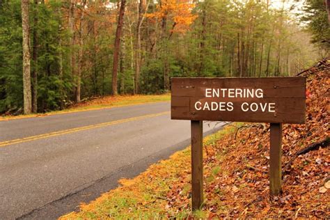 Top Things To Keep Your Eyes Out For Along The Cades Cove Loop