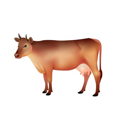 Realistic Brown Cow 467493 Vector Art At Vecteezy