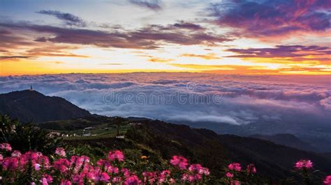 Morning Mist With Mountain Sunrise And Sea Of Mis Stock Photo Image