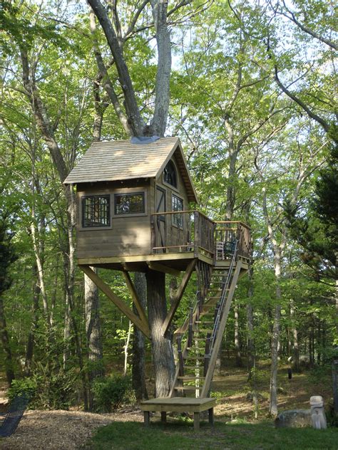 A Tree House In The Middle Of A Forest