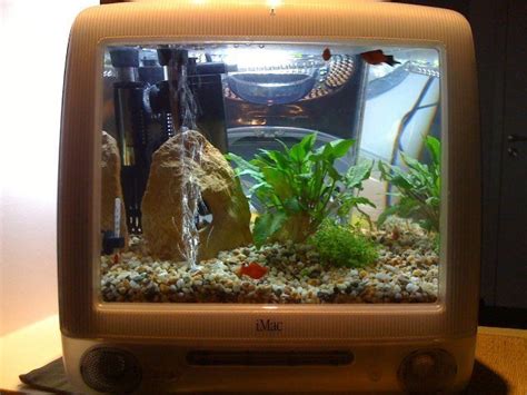 Imac G3 Fish Tank