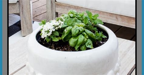 Diy And Household Tips Outdoor Tabletop Herb Garden