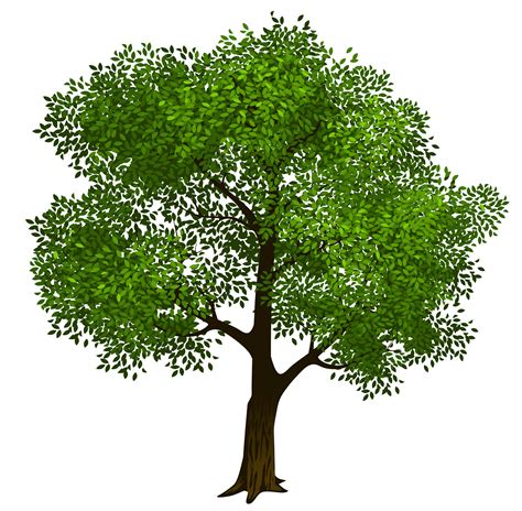 Green Tree Clip Art Clipart Download