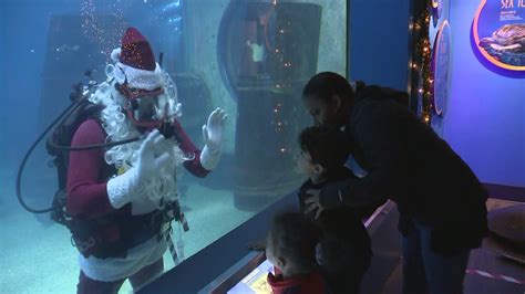 Adventure Aquarium In Camden Holds Special Inclusion Event With Sensory