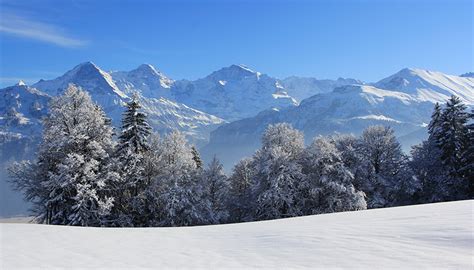 Fotos Von Schweiz Natur Winter Gebirge Fichten Jahreszeiten