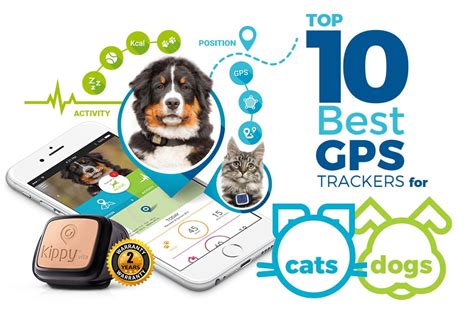 Top 18 gps pet trackers dog and cat friendly best of 2020 reviewed. Best GPS Trackers for Cats 2017 | Track your Pet via GPS ...
