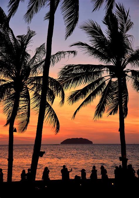 Sunset Through The Palms At Tanjung Aru Kota Kinabalu Kota Kinabalu