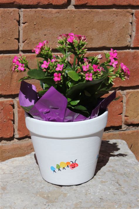 We did not find results for: Mother's Day Flower Pot Gift {Tutorial} • The Inspired Home