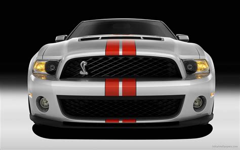 2011 Ford Shelby Gt500 2 Wallpaper Hd Car Wallpapers Id 669