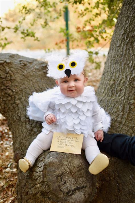 Hedwig Baby Owl Costume Diy No Sew Make Life Lovely Baby Owl