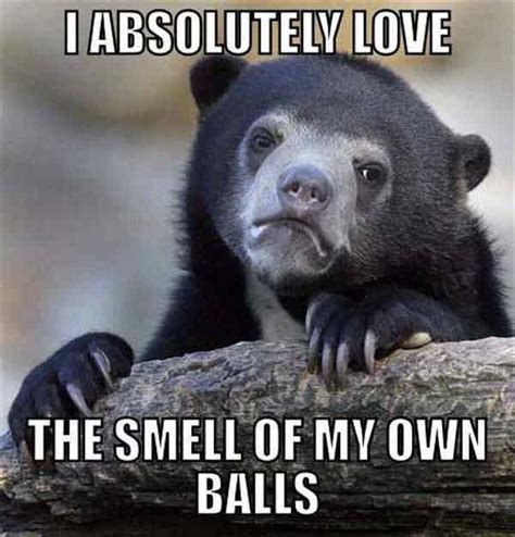 39 Of The Most Ridiculous Confession Bear Memes