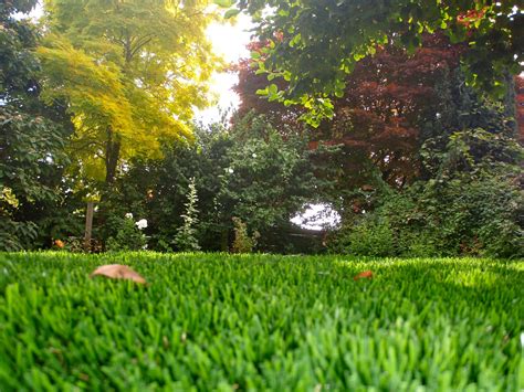 There's nothing like the smell of freshly mowed lawn in the morning. Synthetic Grass vs. Natural Grass