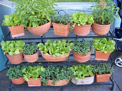 Small Garden Ideas With Veggies Garden Design