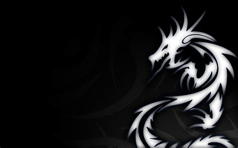 🔥 Download Dragon Logo Designs Hd Wallpaper In By Andrewroberts