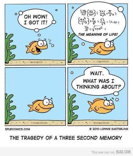 Short term memory includes things like remembering a phone number to dial it, remembering why you went into a room or remembering what you have just said in a conversation. Pin on Fibromyalgia