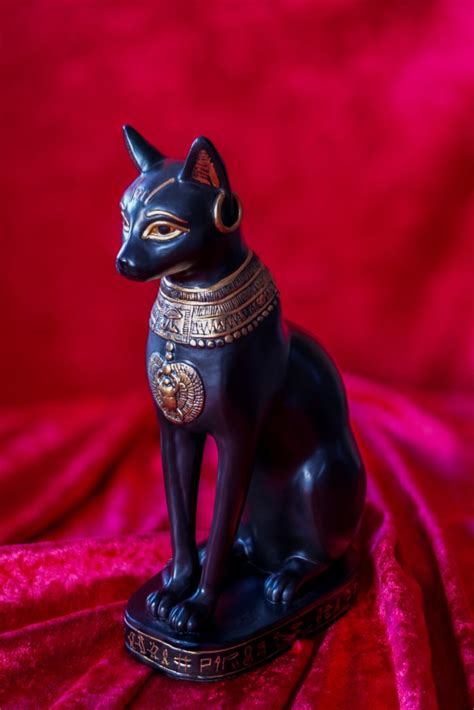 Los Gatos En El Antiguo Egipto Conoce Su Historia Wakyma