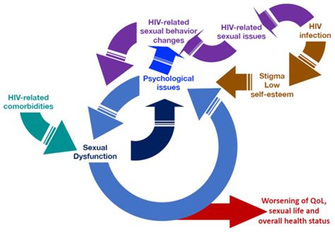 Jcm Free Full Text Hiv And Sexual Dysfunction In Men