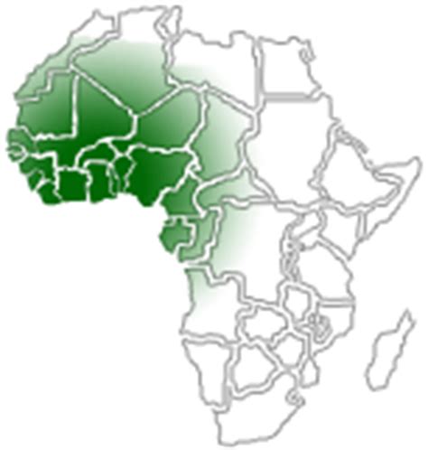 Detailed geography information for teachers, students and travelers. West African Vegetation
