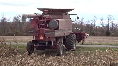 Corn Harvesting Small Stalks With A 1996 Case Ih 2166 Combine In