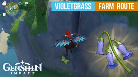 Genshin Impact Violetgrass Easy Farm Route And Locations