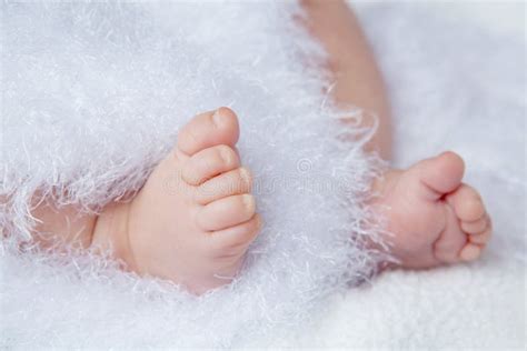 Newborn Baby Feet Stock Image Image Of Fingers Feet 23938411