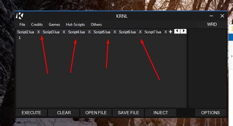 Download krnl exploit completely free, krnl is one of the most reliable roblox. tabcontrol - WeAreDevs Forum